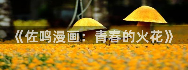 虫虫漫画怎么下载